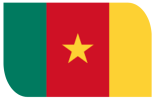 drapeau d'un pays